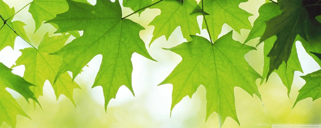 Beautiful Disney Wallpapers Search Results Page 668. EskiPaper ...