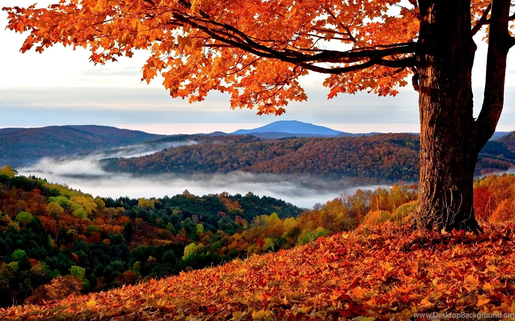 Autumn Wallpapers Desktop