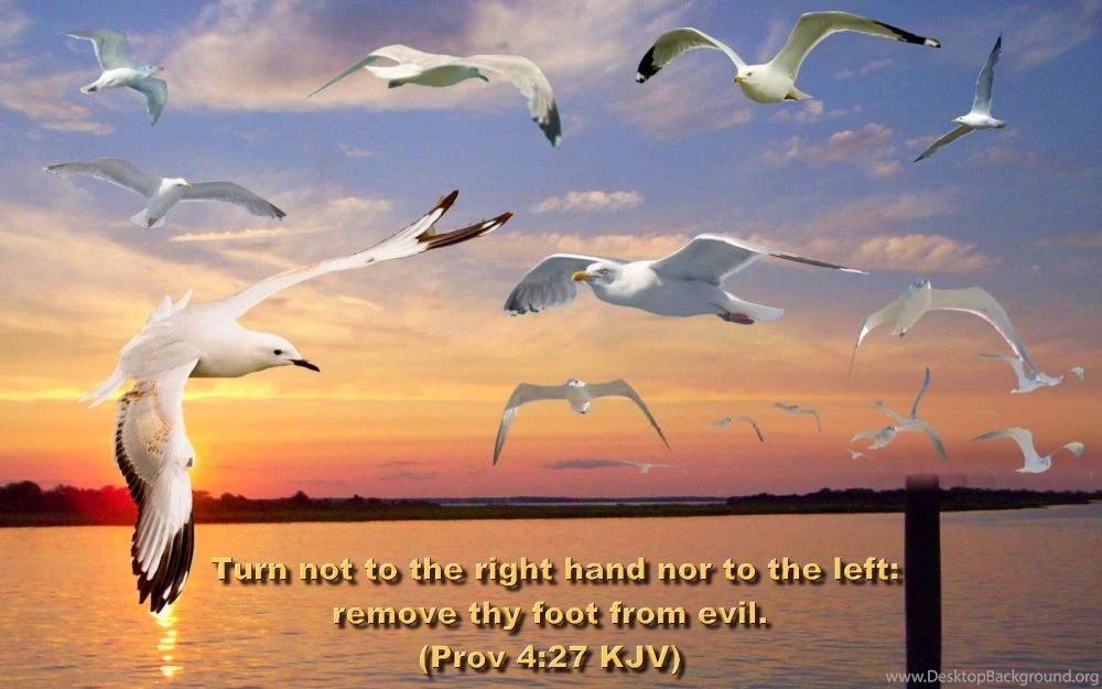 Download HD New Year 2016 Bible Verse Greetings Card & Wallpapers ...