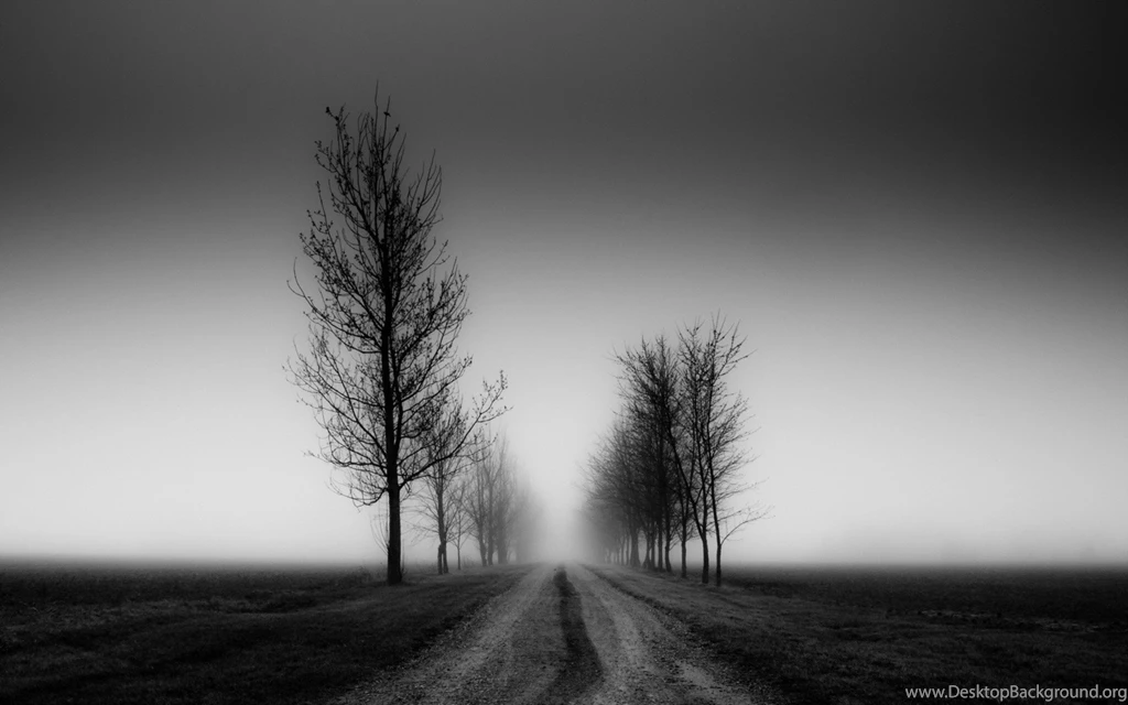 Computer Wallpapers, Desktop Backgrounds Black And White, 311.83 ...