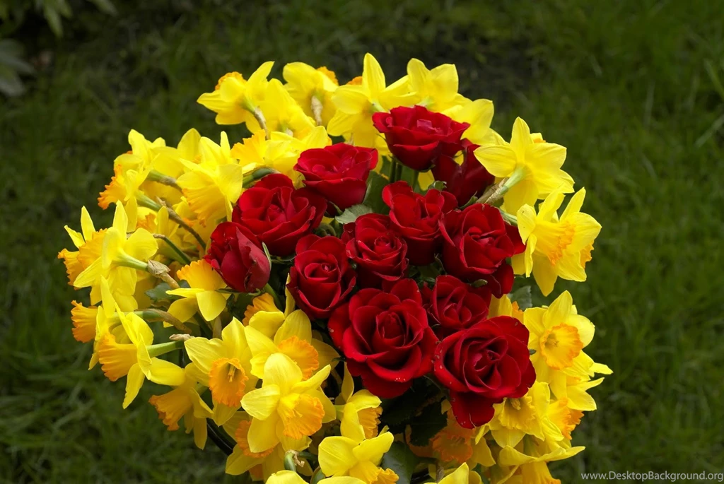 TRUE WALLPAPERS: July 2012
