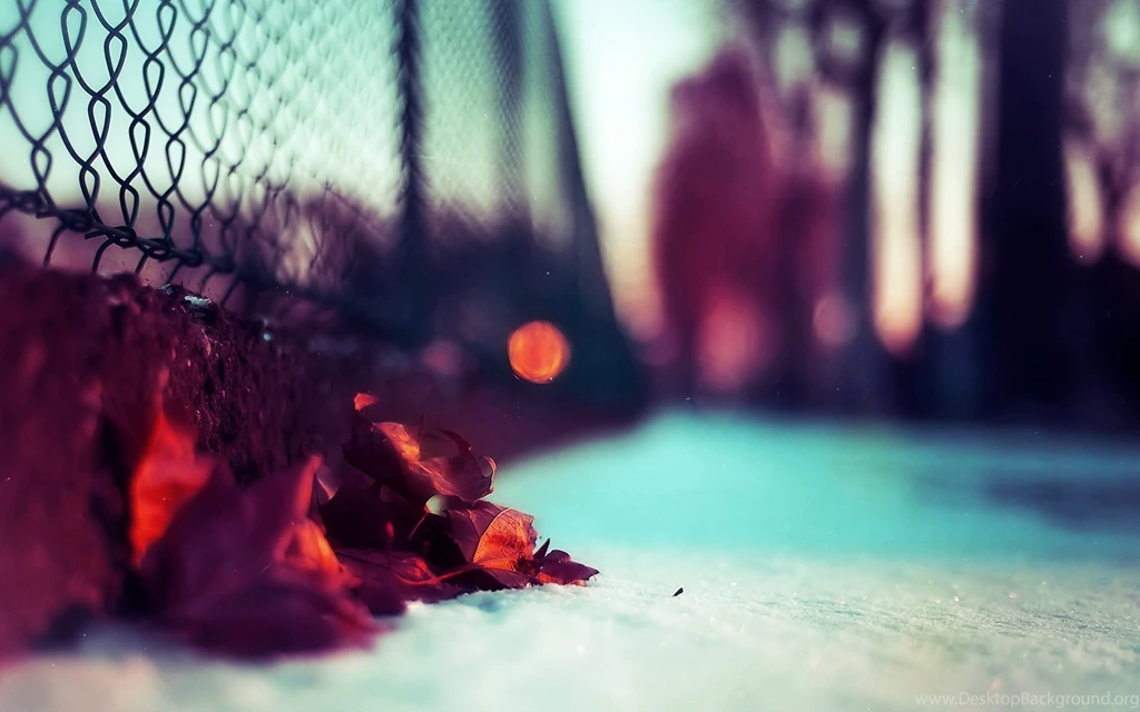 Photographic Wallpaper, Pictures, Photos, Images & Pics