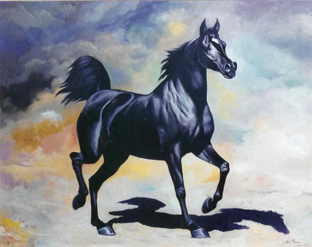 Arabian Horse Download Free Wallpapers For Your Mobile Phone