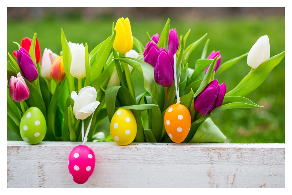 Easter Eggs Wallpapers