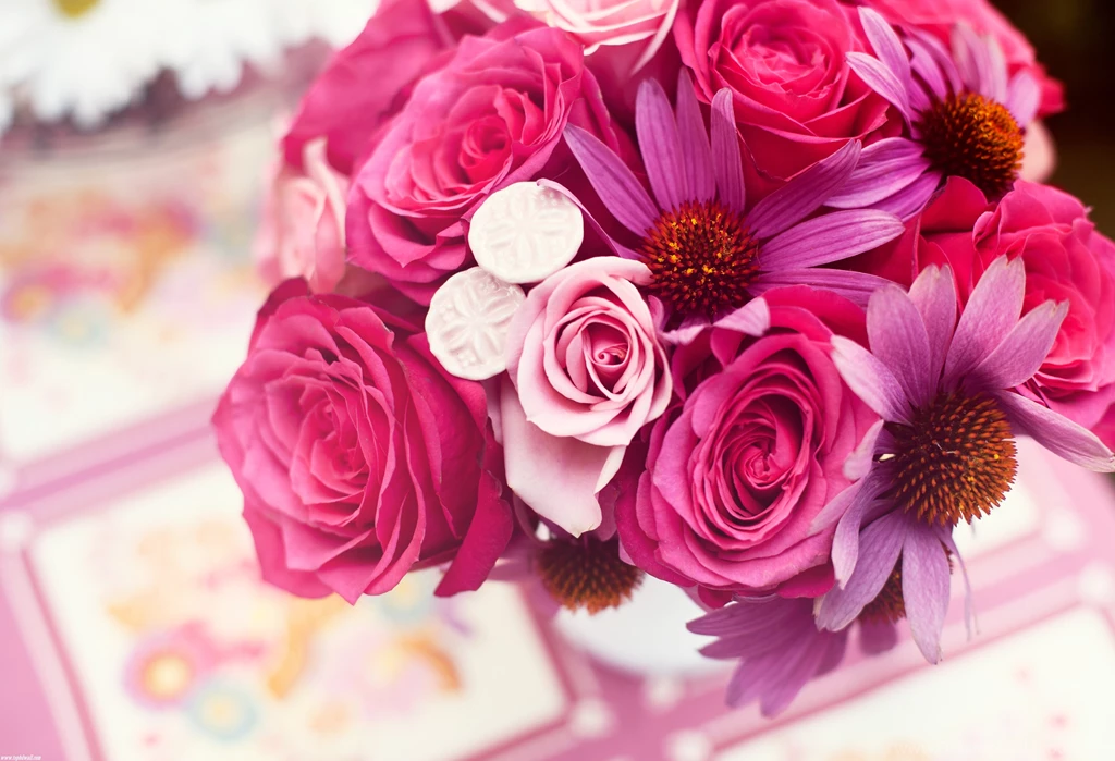 Flower Wallpapers Download