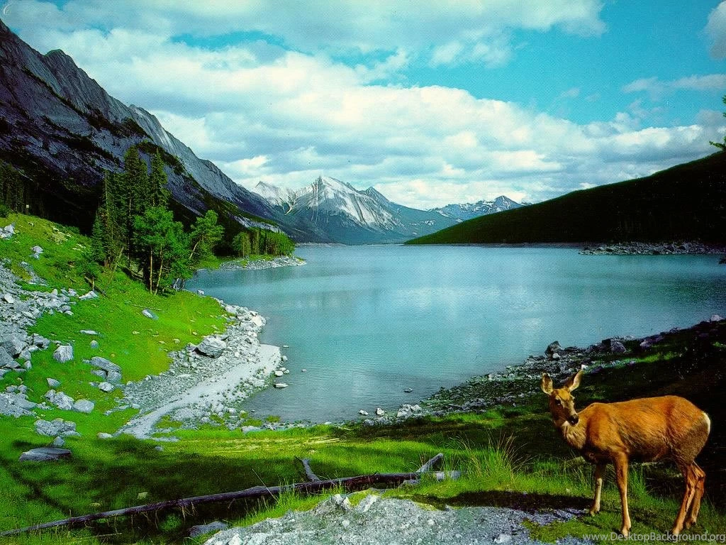 Best Wallpapers: Wallpapers Of Nature