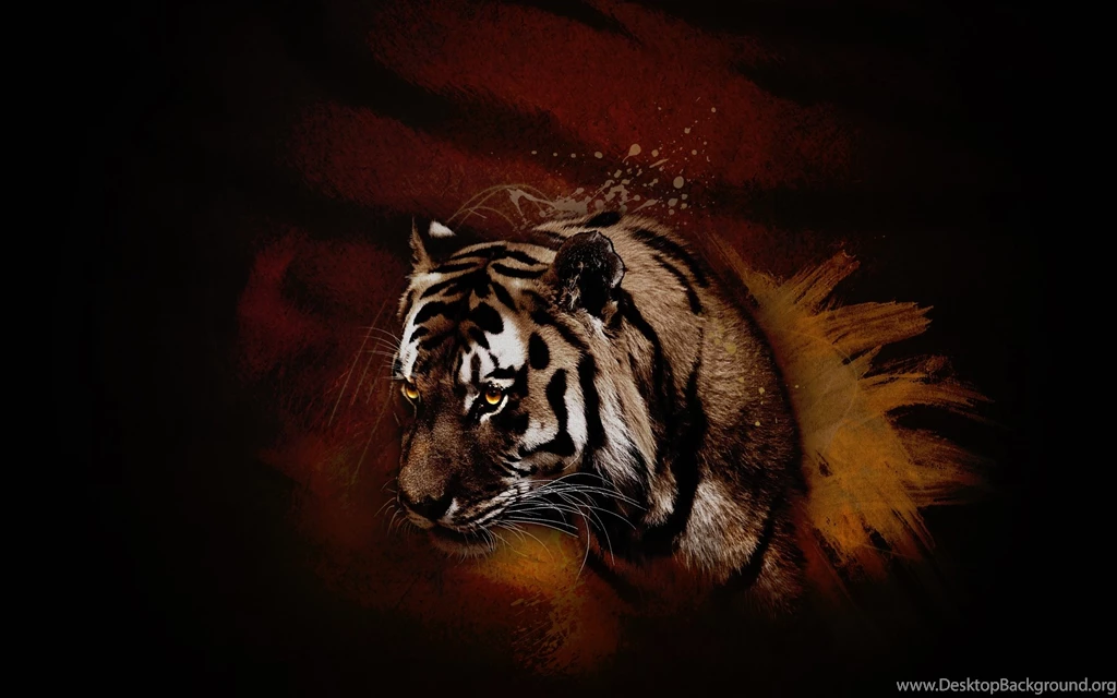 Tiger, Wallpaper, Dark, Background, Web (