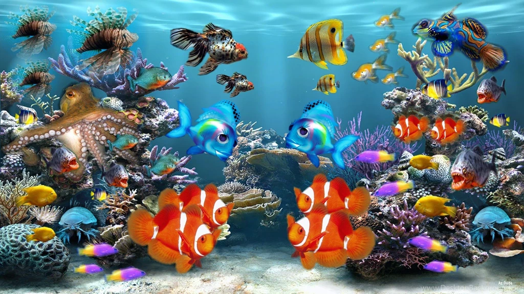 HD Fish Wallpapers HD Wallpaper Backgrounds Of Your Choice