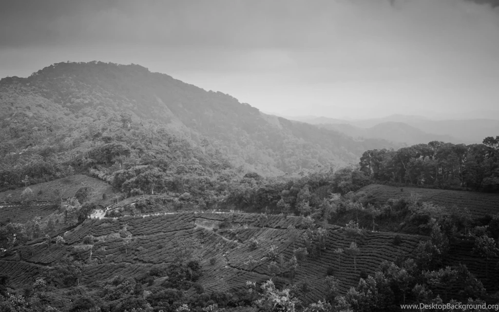 Munnar Mountains Art Wallpaper, HD Wallpapers Downloads