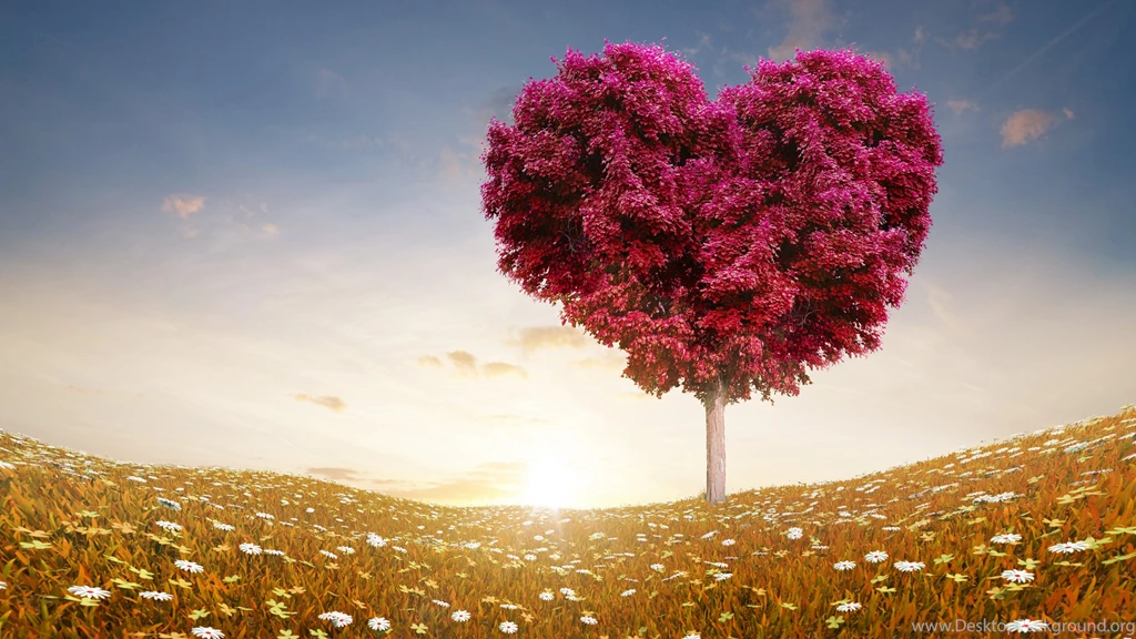 Love Wallpapers Widescreen J3P » WALLPAPERUN.COM