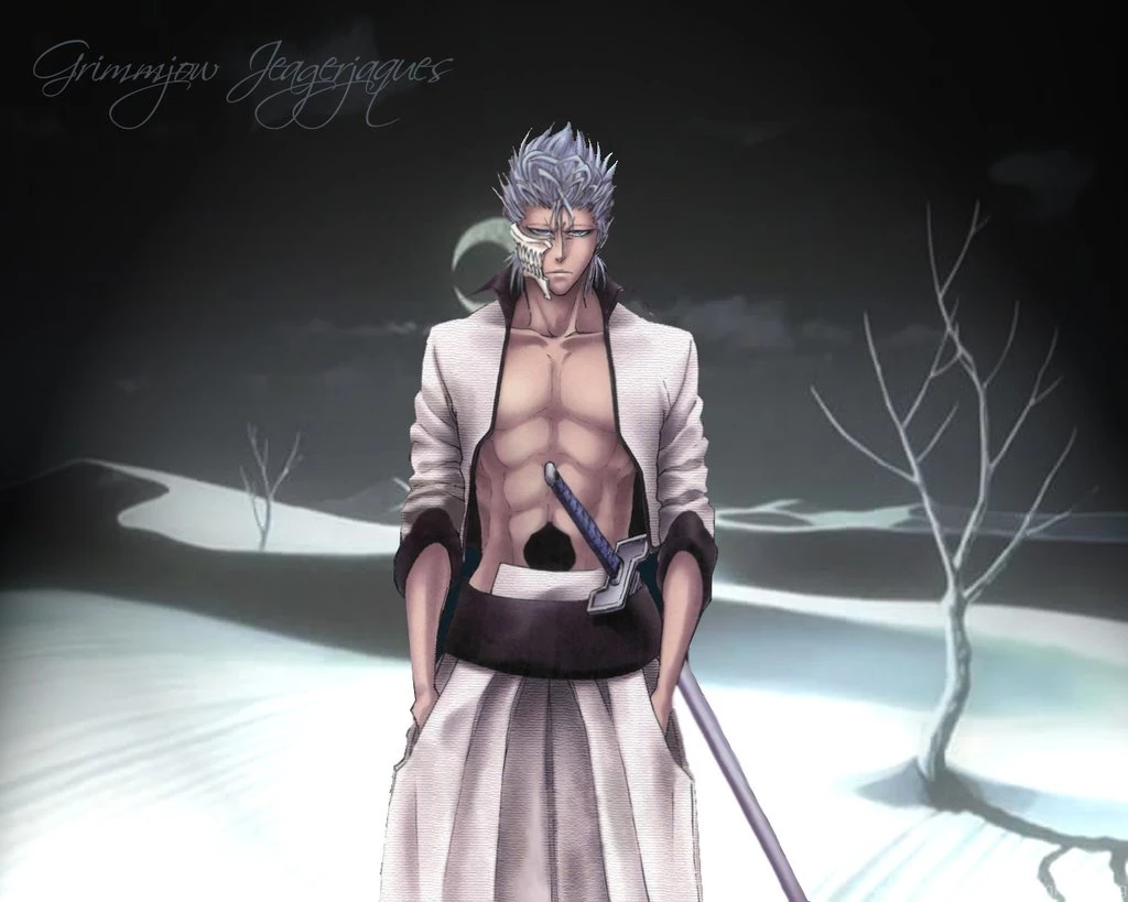 Bleach Anime Wallpapers