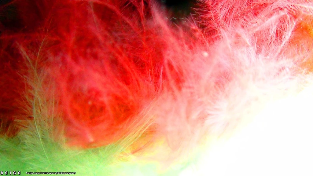 Red And Green Wallpapers Color Wallpapers