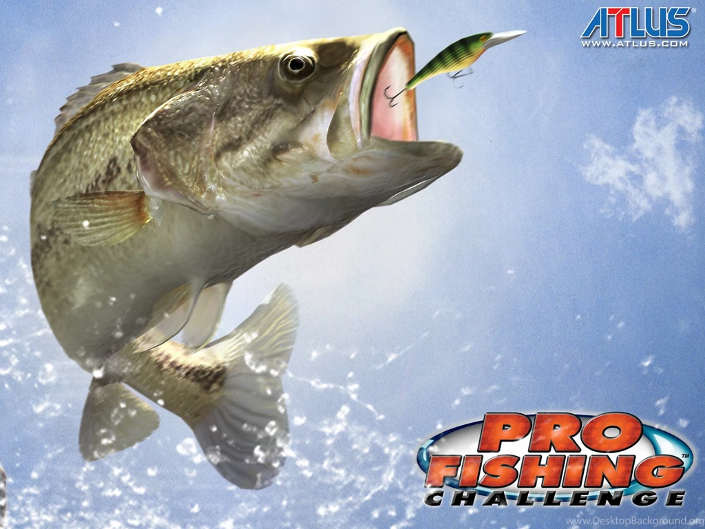 Download Bass Fish Wallpapers Full HD AP85