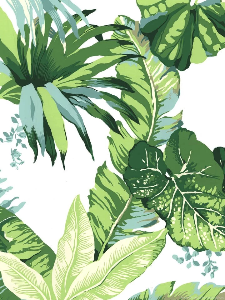 Inspired By The Beverly Hills Hotel Palm Leaf Wallpapers Style Desktop Background