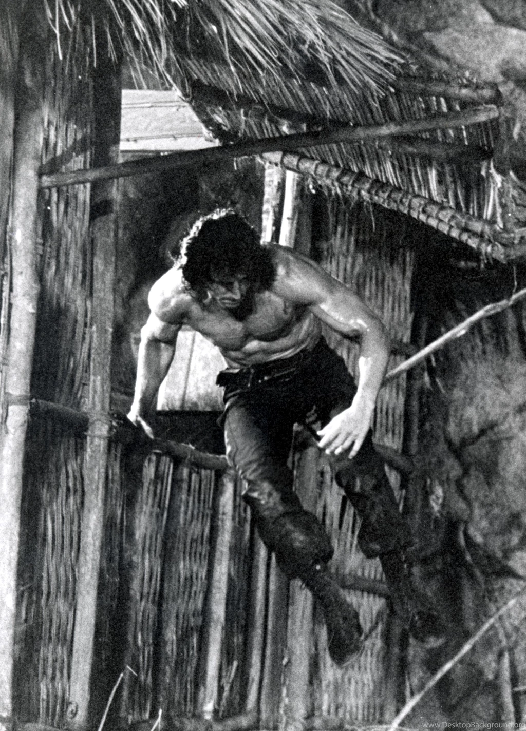 Rambo: First Blood Photo, Pics, Wallpapers Photo