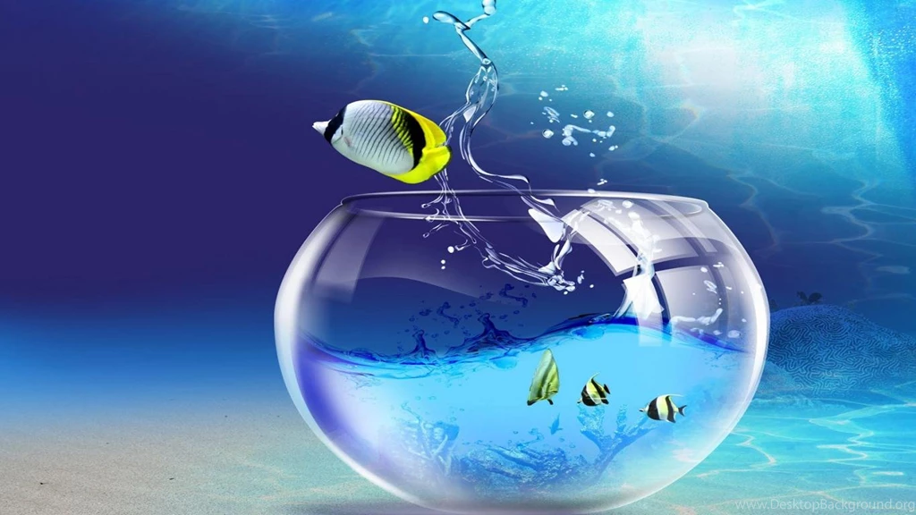 Desktop Live Wallpapers HD Live Wallpapers HD Desktop Wallpapers