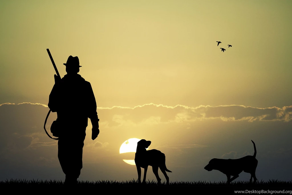 Animals, Dog, Birds, Sun, Men, Hunting, Gun, Rifles Wallpapers HD ...