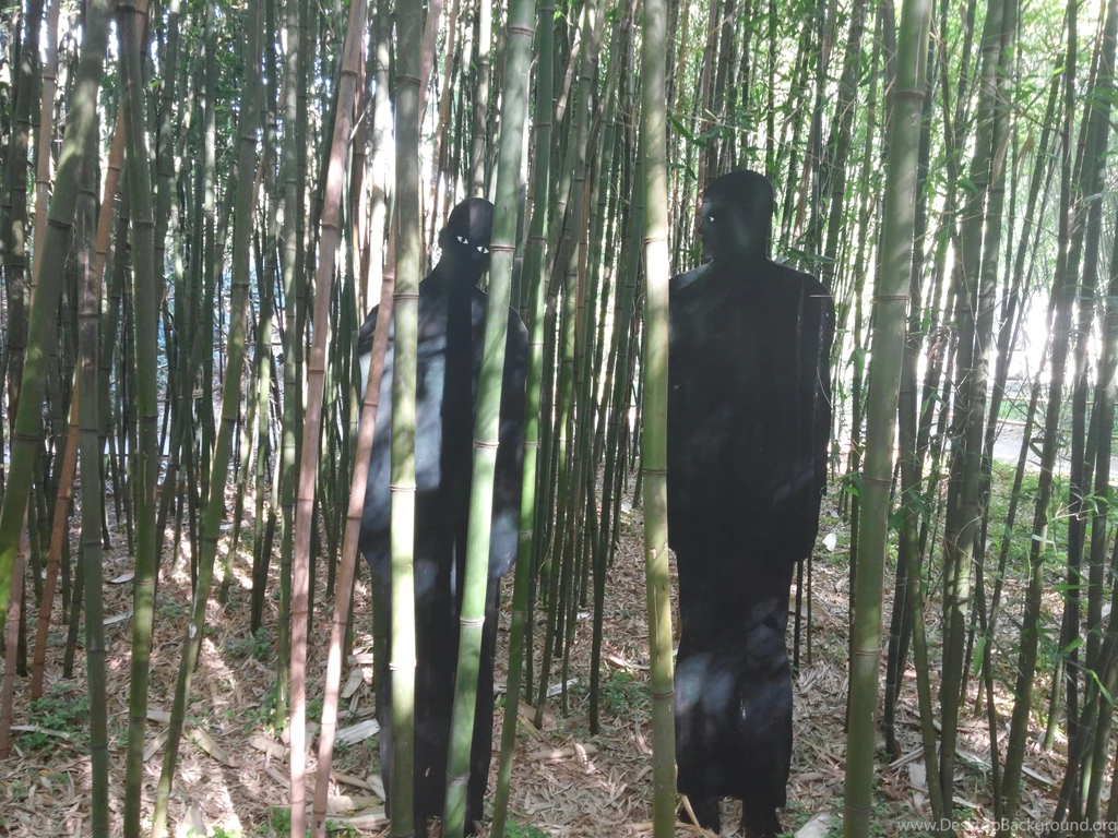 Creepy/Cool Statues Found In A Bamboo Forest Album On Imgur