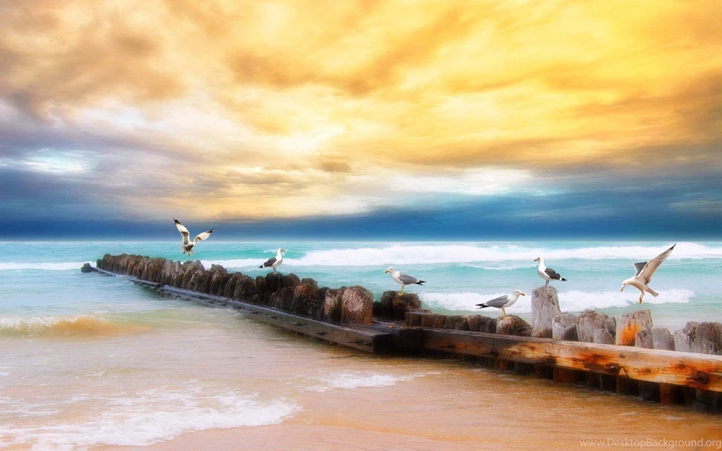Seaside HD Wallpapers HD Wallpaper Backgrounds Of Your Choice