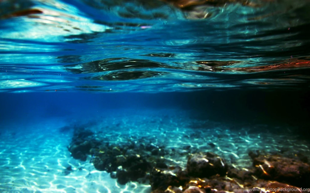 Underwater Wallpapers Desktop Photos
