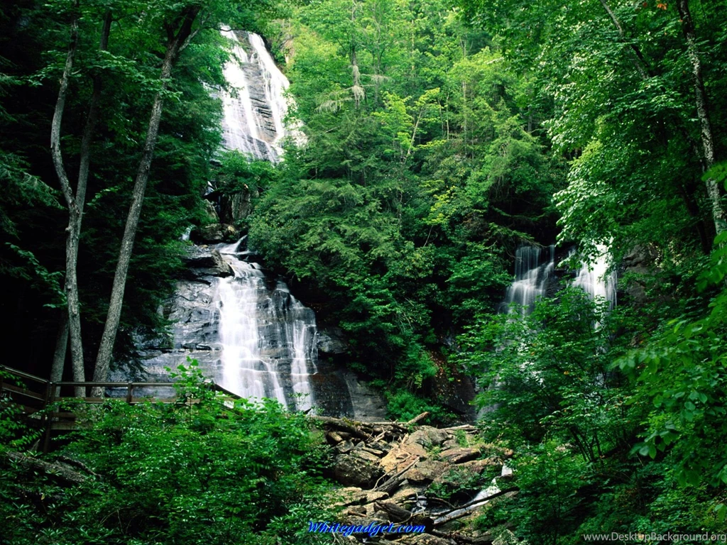 109227d1339827149 rainforest wallpaper rainforest wallpaper pictures.jpg