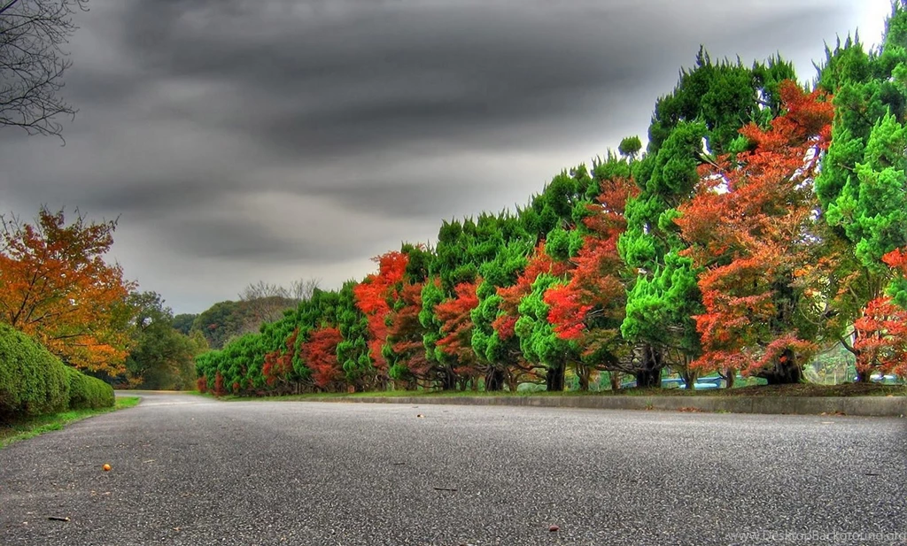 Animated Nature Wallpapers For Mobile Widescreen HD Wallpapers