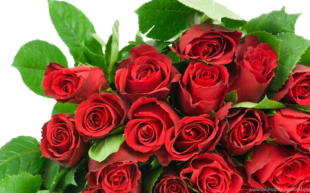 Download Wallpapers 1280x800 Roses, Flowers, Bouquet, Red, Chic ...