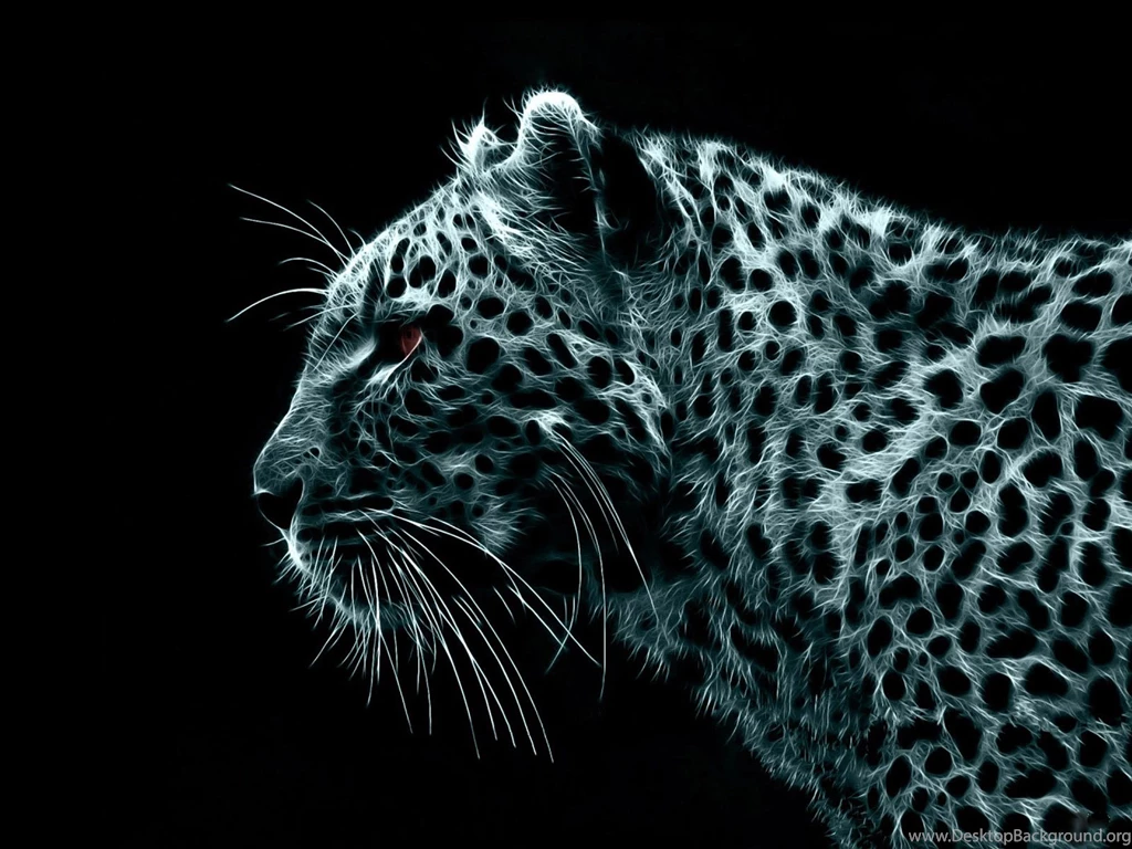 Animated Leopard Animal Desktop Backgrounds Wallpapers