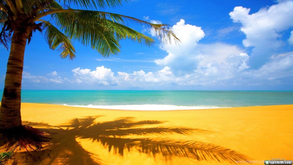 Art Wallpapers And Screensavers Images Photos FynnEXP