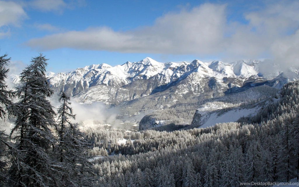 Beautiful Screensavers Site: Winter Snowfall Screensaver