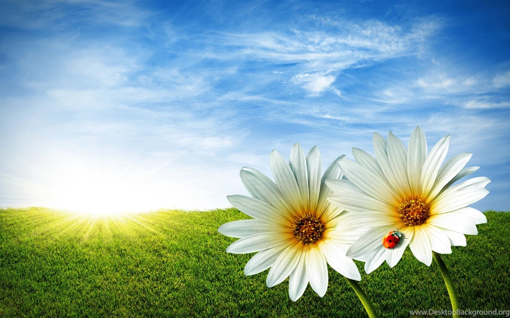 Cool HD & 3D Wallpapers — Amazing Natural Views Nature Free HD ...