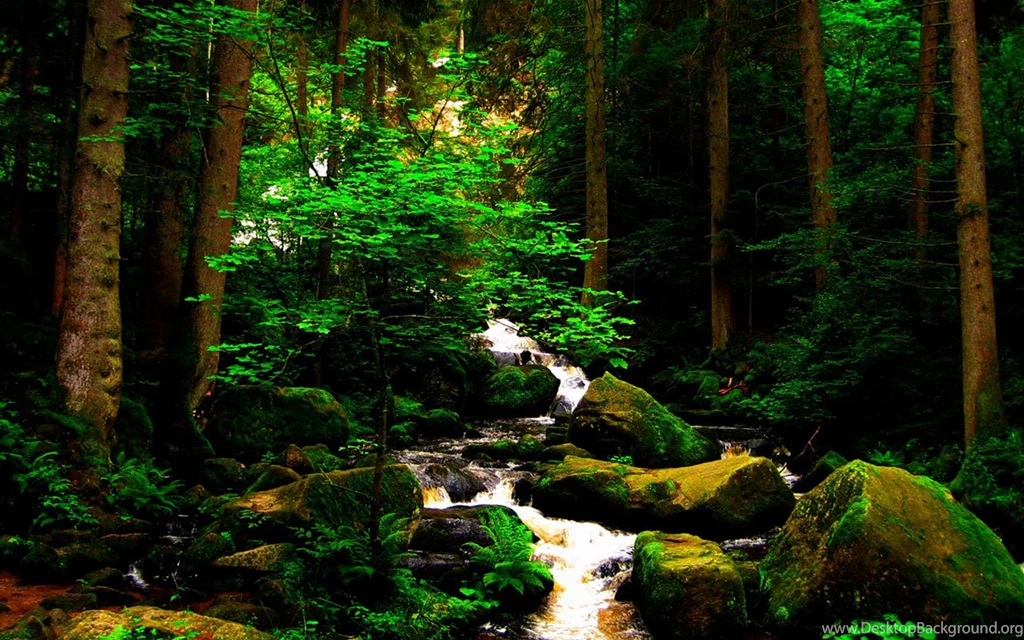 Selection Of Natural Landscape Photography Wallpapers 11 ...