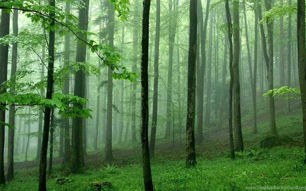 Selection Of Natural Landscape Photography Wallpapers 5 ...