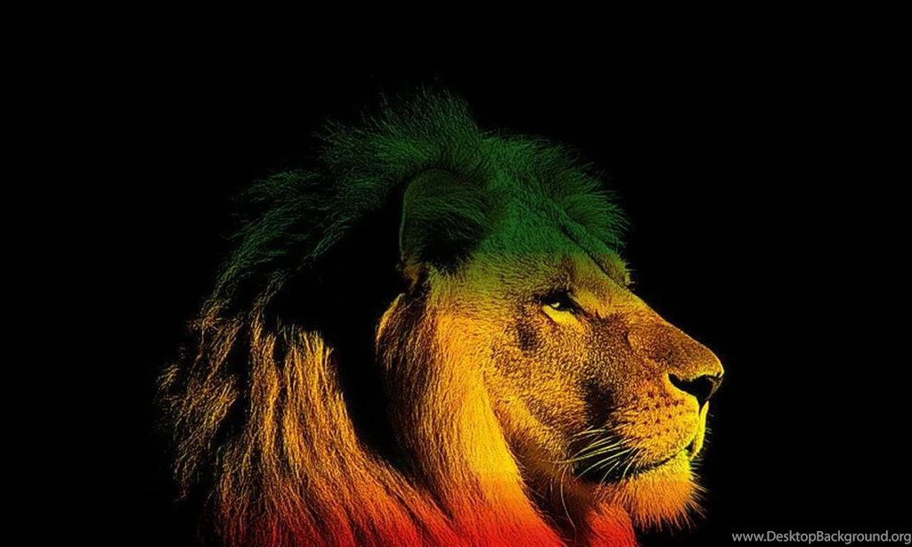 Reggae Lion