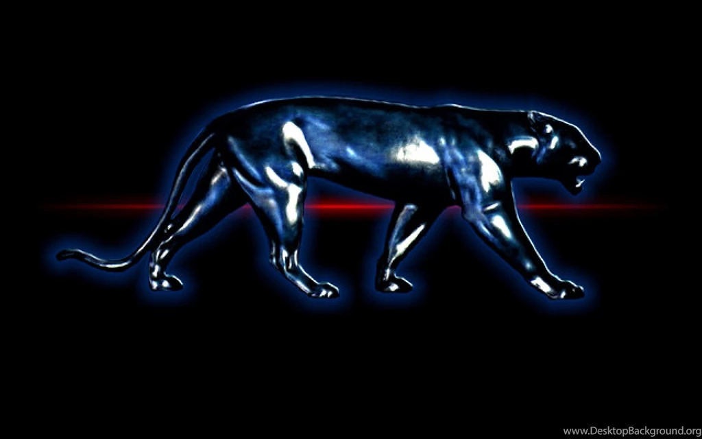 Black Panther Amazing Wide Hd Wallpapers