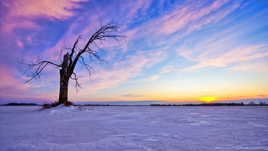 Hd Wallpapers Free Download