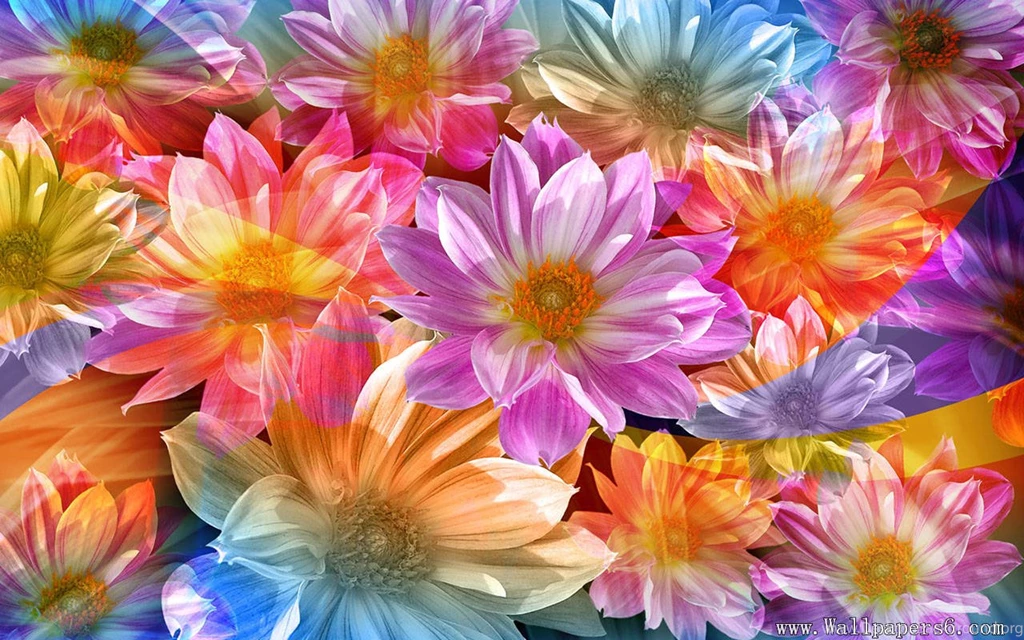 Beautiful Flowers Wallpapers For Desktop Free Download Hd,desktop ...