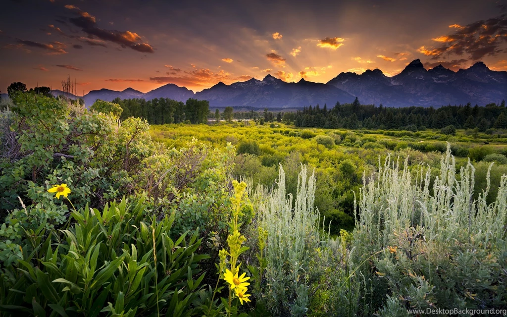 Grand Teton Park Beautiful Landscape Wallpapers HD Download
