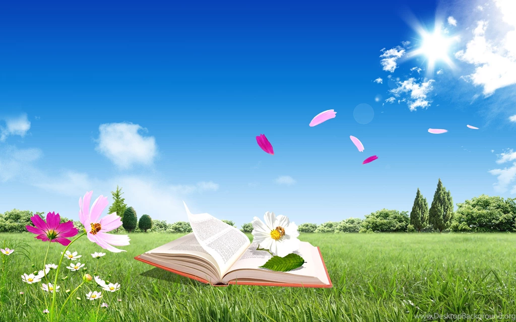 Download Wallpapers 3840x2400 Book, Field, Flowers, Flying, Sky ...