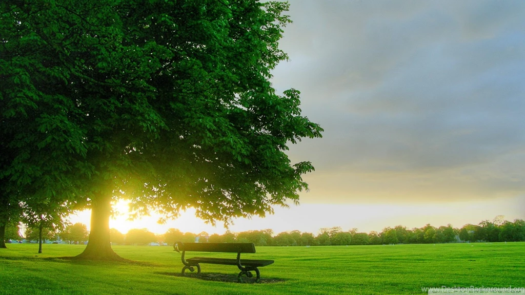 Summer Landscape Nature 7 HD Desktop Wallpapers : Widescreen : High ...