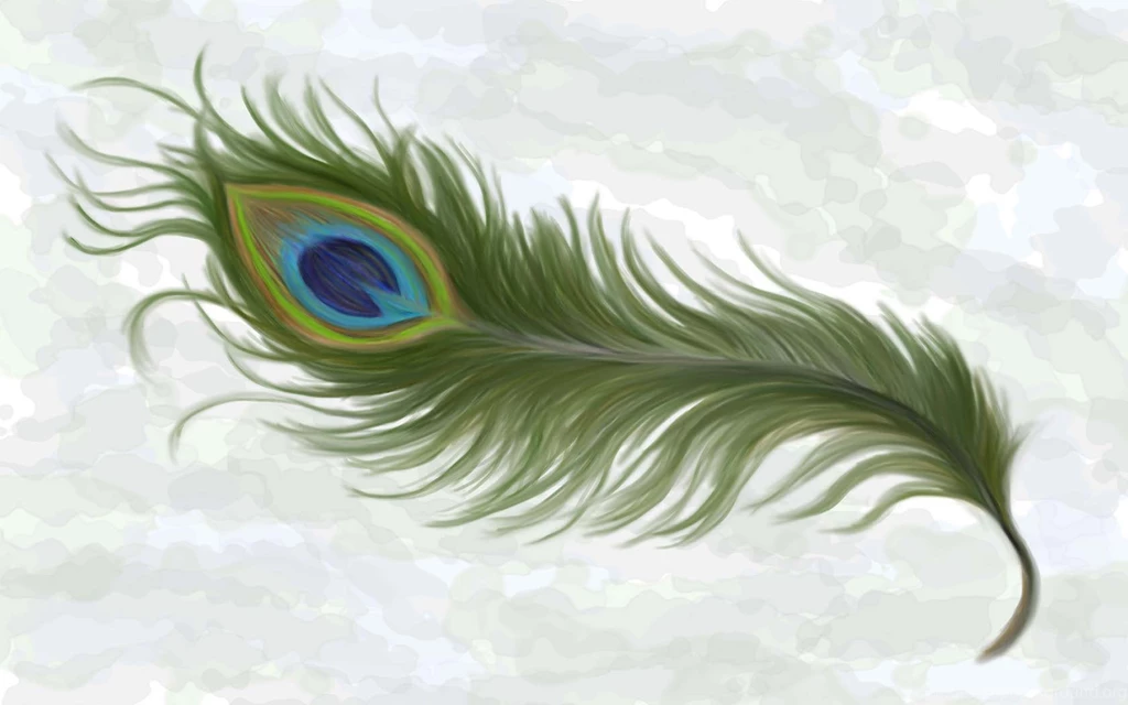 Desktop Wallpapers For Peacock Feather Free Hd Wallpapers