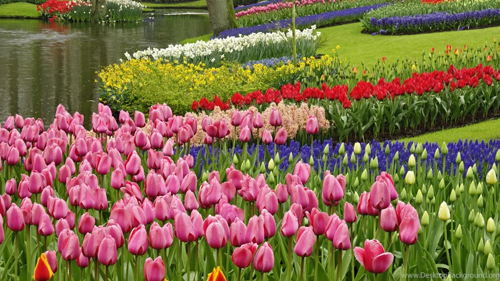 Spring Wallpapers HD Free Download