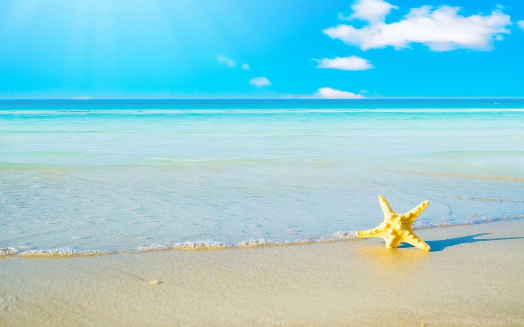 Summer Beach Backgrounds