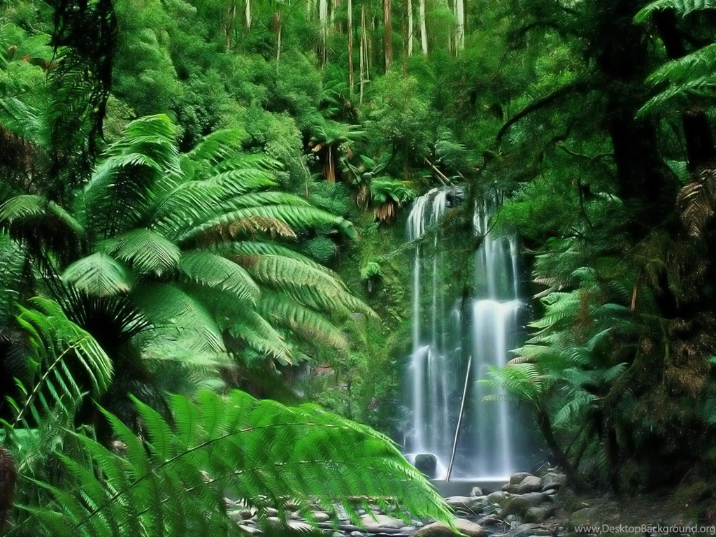 Tropical desktop wallpaper free 10 34586 HD Wallpapers