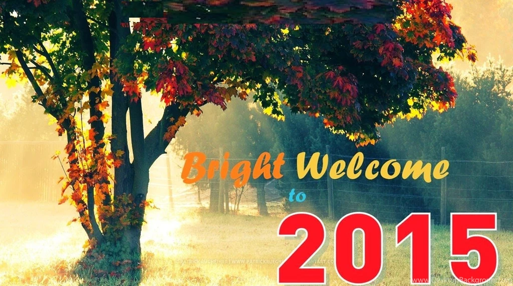 Happy New Year Hd Wallpaper Free Download (9)
