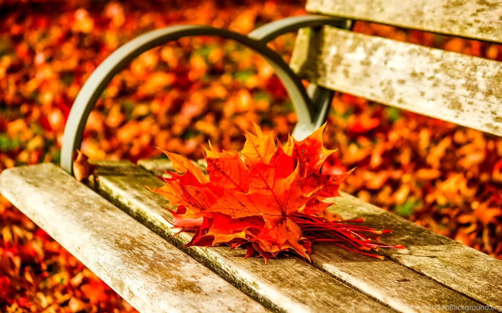 Leaves Desktop Wallpapers And Artwork