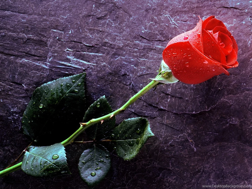 Hd Love Wallpapers Collection (37+)