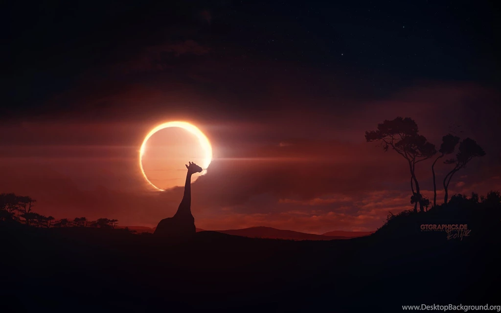 Clouds Sun Moon Eclipse Sunlight Skies Giraffe Wallpapers ...