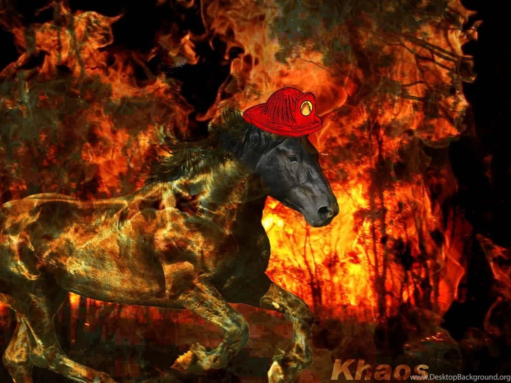 Fire Horse To The Rescue By KhaosTheory455 On DeviantArt
