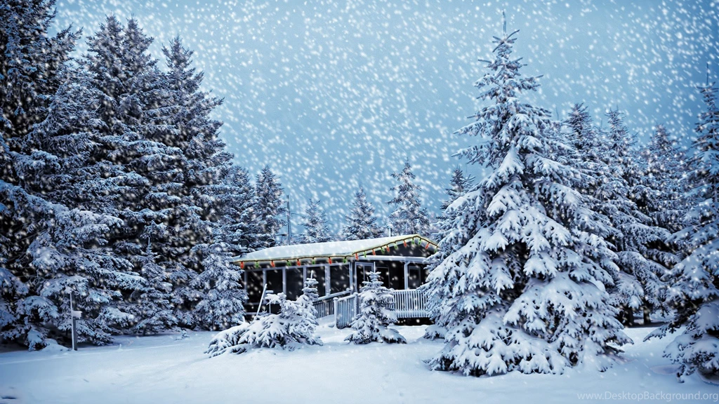 Snow Winter Scene Wallpapers 1920x1080 (